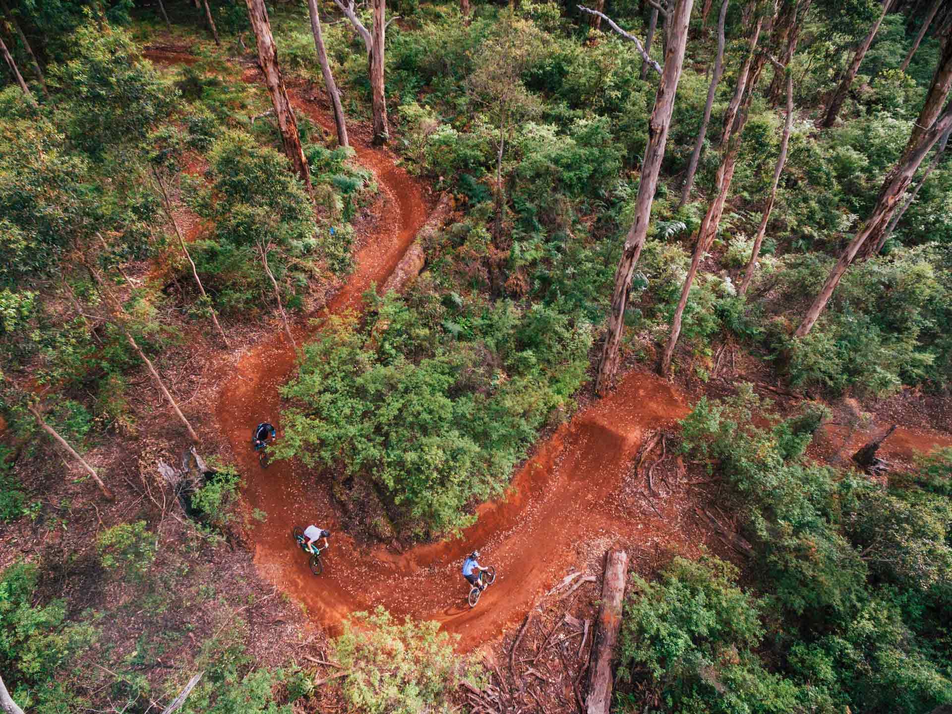 The pines mountain online bike trails